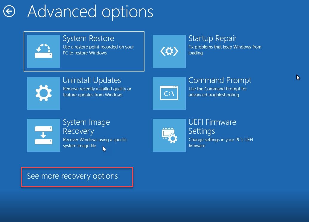advanced options page screenshot